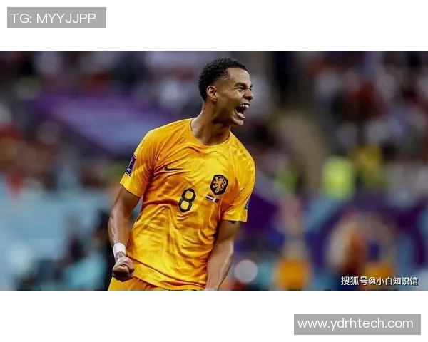 小白究竟是哪个足球明星他的传奇故事与成就揭秘